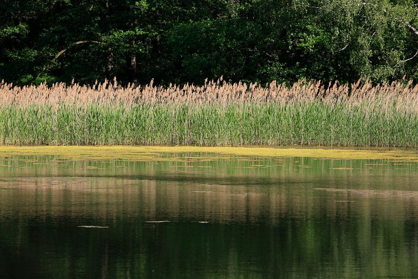Am See von Thomas Jäger