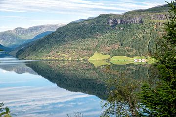 Norwegian fjords by André van der Hoeven
