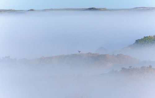 sprookjesachtig landschap