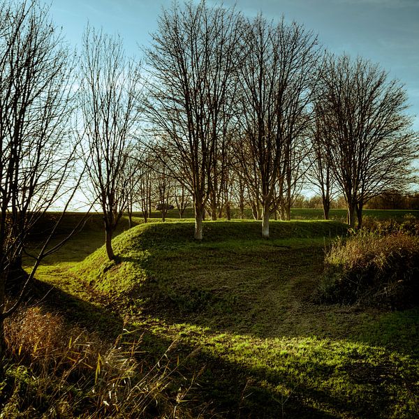 Ambiance d'automne dans le Flevoland par Rene  den Engelsman