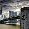 La ligne d'horizon de Rotterdam le long de la Meuse, avec le caractéristique pont Erasmus et l'archi sur gaps photography