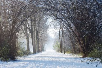 Westerpark in the snow by Ellen Weidenaar