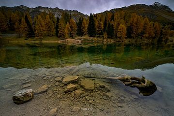 Amazing palpuognasee van Tomasz_best_shots