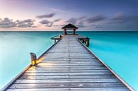 Malediven steiger van Markus Busch thumbnail
