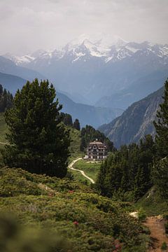 The castle in the mountains of Switzerland by Nina Robin Photography