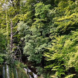 Wasserfall von Alien Loedeman