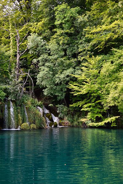 Wasserfall von Alien Loedeman