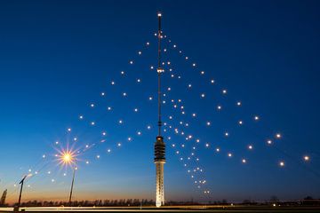 De grootste kerstboom ter wereld van Ad Jekel