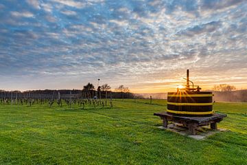 Sonnenuntergang mit dramatischem Himmel in der Nähe eines Weinbergs von Kim Willems