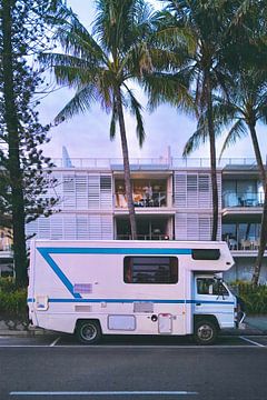Camper under Palm Trees – Rainbow Beach, Australia: Travel Photography by Marcus Dicks