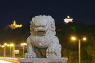 Chinese leeuw Urumqi van Andrew Chang thumbnail