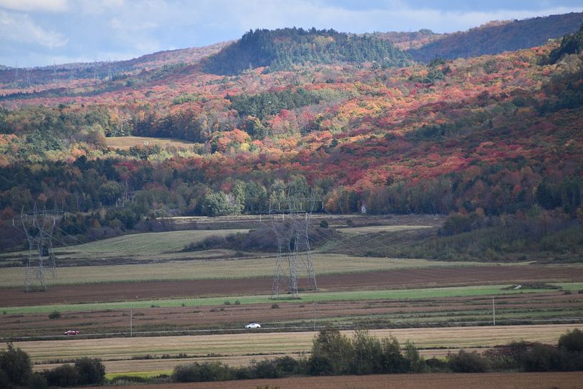 Land after autumn harvest by Claude Laprise
