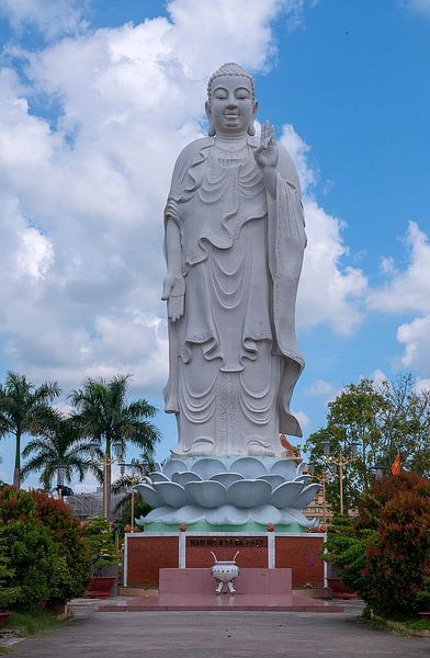 Mỹ Tho: Vĩnh Tràng tempel by Maarten Verhees