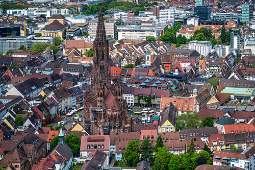 Een blik op Freiburg in het Zwarte Woud van Andreas Völkel