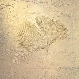 Ginkgo. Een nevelige ochtend. 1