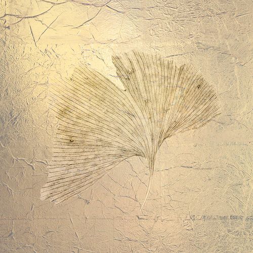 Ginkgo. Een nevelige ochtend. 1