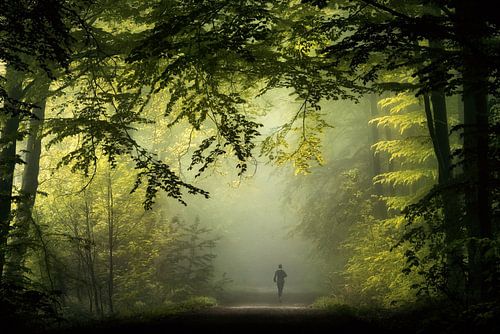 Framed. by Inge Bovens
