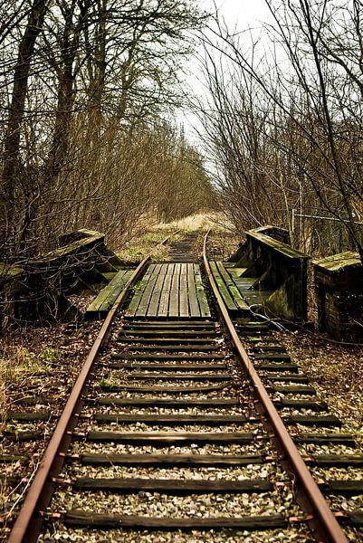 disused railroad line #2 by Norbert Sülzner