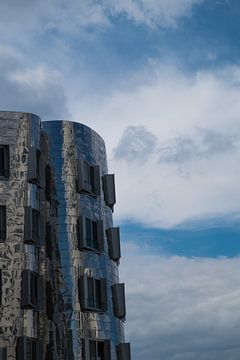 Frank Gehry van Lieven Lema