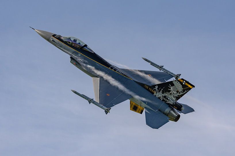 F-16-Jubiläumsfall von 1 SQN &quot;Stingers&quot;. von Jaap van den Berg