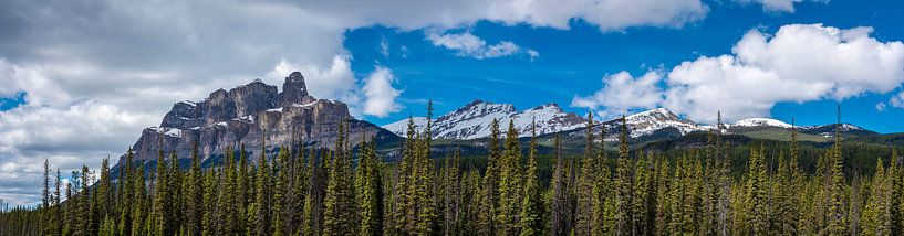 Panorama of Castle Mountain near Banff National Park, Canada by Rietje Bulthuis