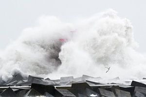 Extreme Wellen in Scheveningen von Hans Overduin