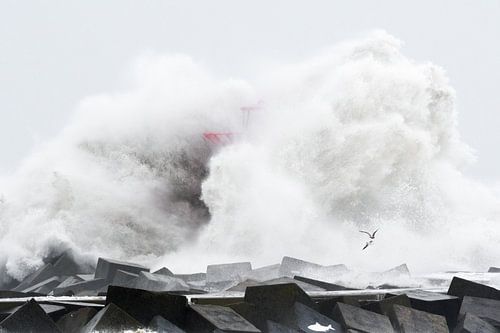 Extreme Wellen in Scheveningen