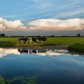 Dutch Landschape von Rick Bekker