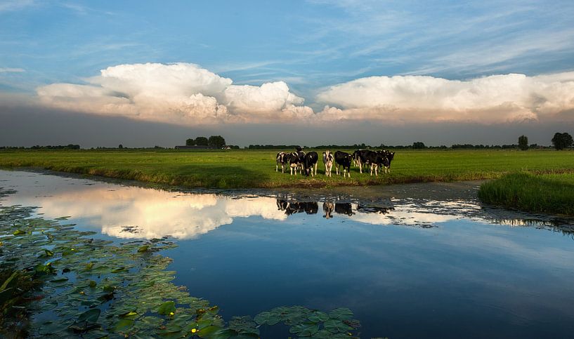 Dutch Landschape by Rick Bekker