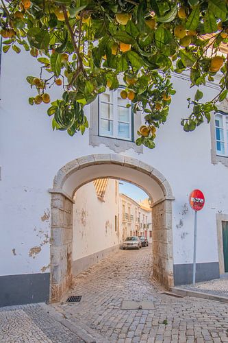 Poort en sinaasappels in Faro, Portugal