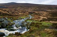 Wicklow mountains in Ierland van Steven Dijkshoorn thumbnail