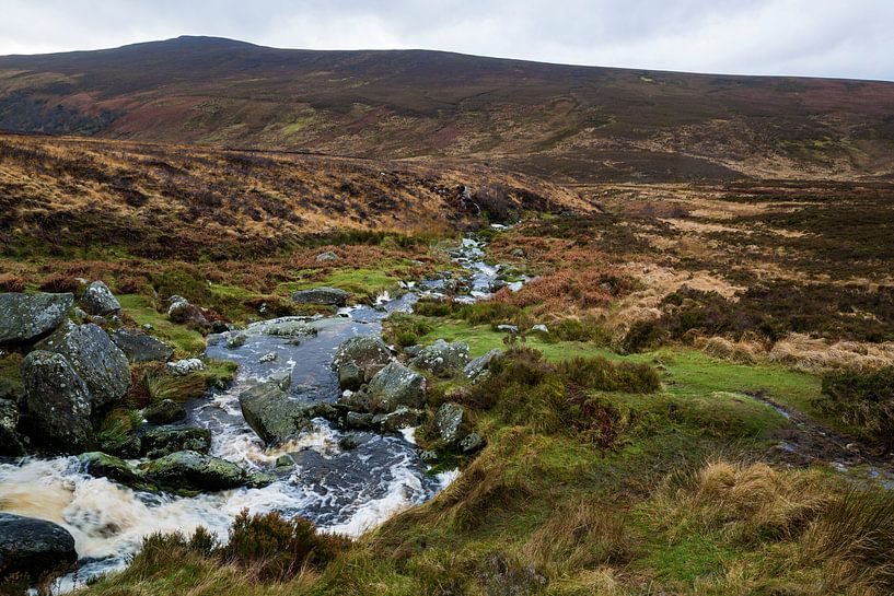 Wicklow mountains in Ierland van Steven Dijkshoorn