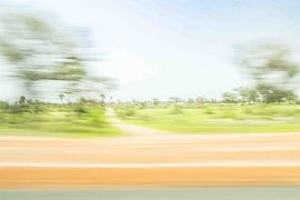 Movement in the Landscape by Crystal Clear