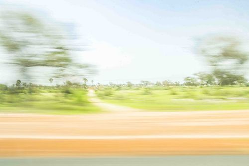 Movement in the Landscape