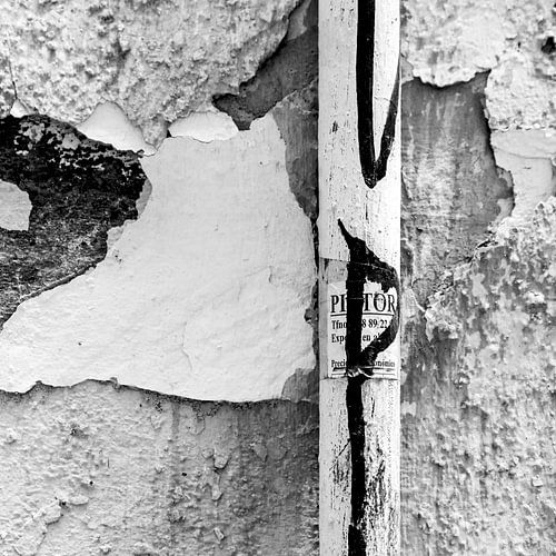 Echo van vergankelijkheid in zwartwit