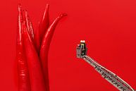 red hot by Remko Killaars thumbnail