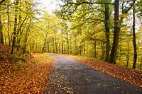 Autumn all the way