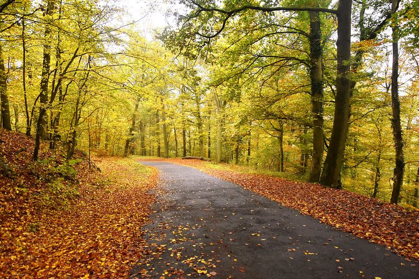 Autumn all the way by Goldeneyes