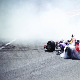 Red Bull Racing F1  van Wilco Verhaegh