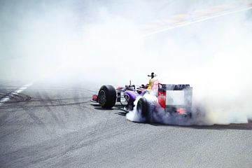 Red Bull Racing F1  sur Wilco Verhaegh