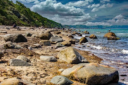 Stony Baltic coast