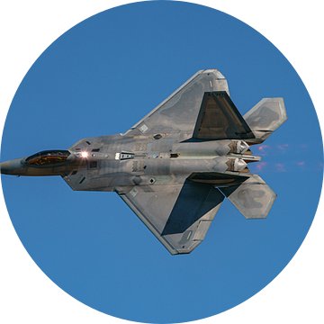 U.S. Air Force Lockheed Martin F-22 Raptor in actie. van Jaap van den Berg