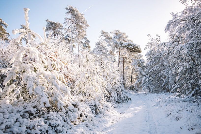 Bezaubernde Winterlandschaft - Schnee auf dem Salland-Grat von Wandeldingen