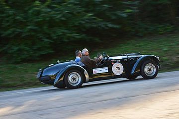 Austin Healey Silverstone on the Hill - Eggberg Classic 2019 van Ingo Laue