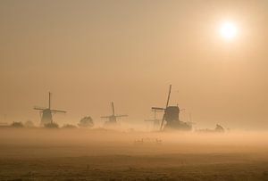 Nebliger Sonnenaufgang über Kinderdijk