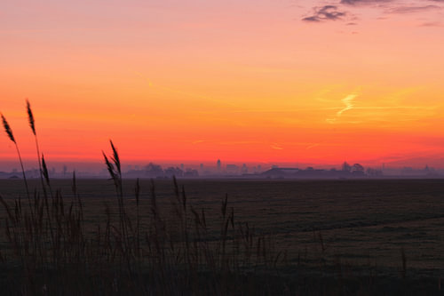 Weidelicht – Zwischen Maasland und Delft