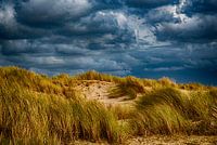 Duinen - Texel