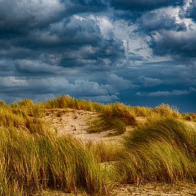 Duinen - Texel van Joop Bruurs