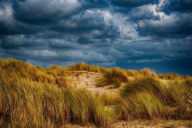 Dunes - Texel by Joop Bruurs