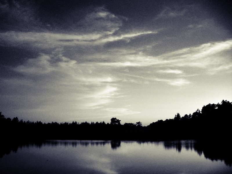 More by Desiree Barents